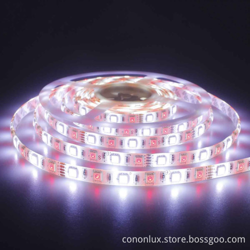DC12V/24V CE ROHS waterproof dream color RGB With IC 44keys Remote control smart flexible LED strip light IP65 water proof